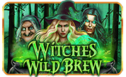 BG Witches Wild Brew